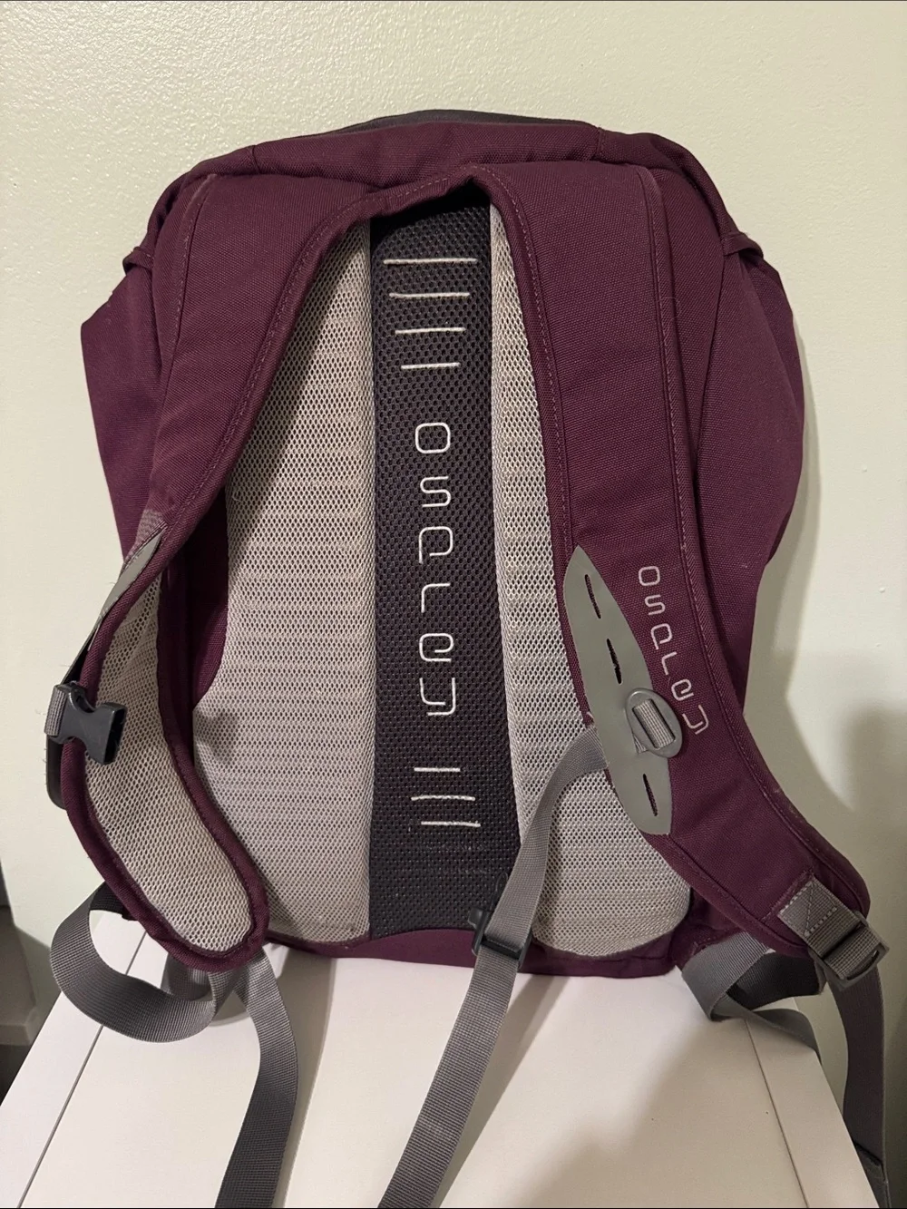 OSPREY Flap Jill Plum and Gray Daypack